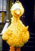 Big Bird