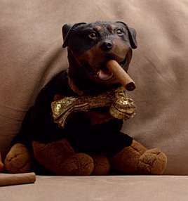 Triumph, the Insult Comic Dog