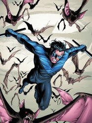 Nightwing (comics)