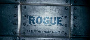 Rogue (company)