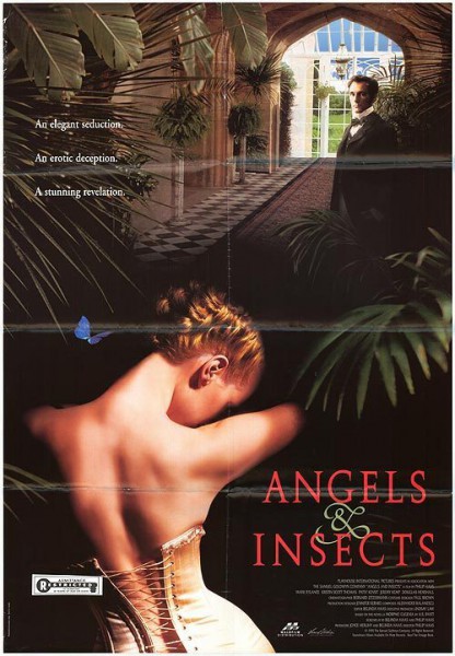 Des anges et des insectes