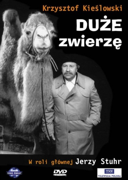 Duże zwierzę