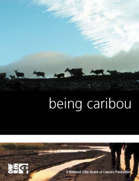 Being Caribou