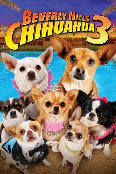 Le Chihuahua de Beverly Hills 3 : Viva la Fiesta !