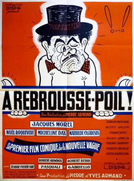 À rebrousse-poil