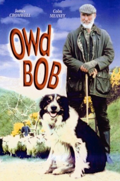 Owd Bob