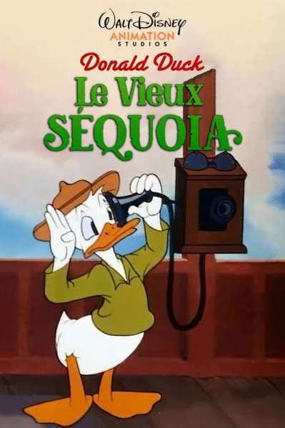 Le Vieux Séquoia