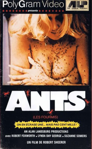 Ants