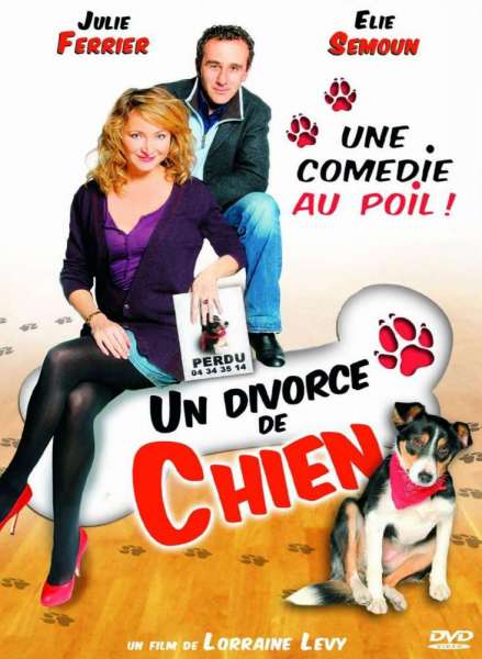 Un divorce de chien