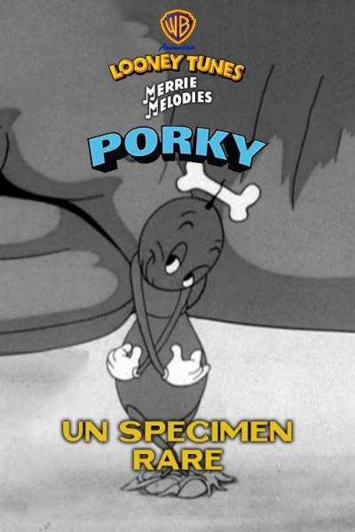 Un spécimen rare