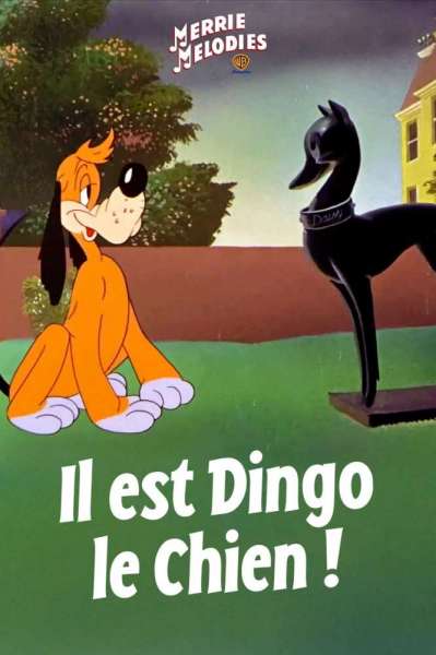 Il est dingo le chien