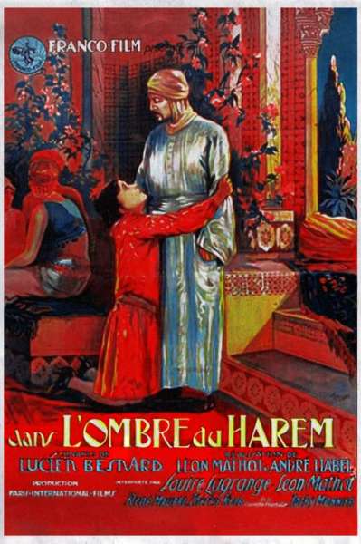 Dans L'Ombre Du Harem