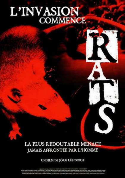 Rats, l'invasion commence