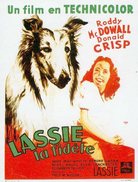 Fidèle Lassie