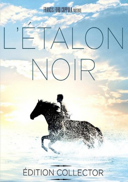 L'Étalon noir