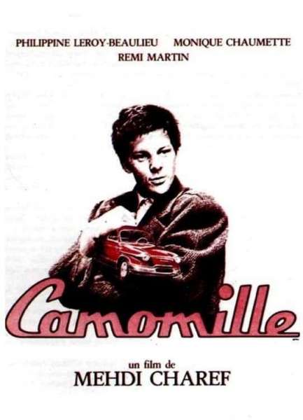 Camomille