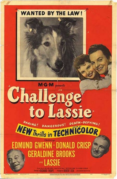 Le Défi de Lassie