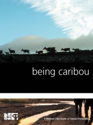 Being Caribou