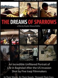 The Dreams of Sparrows