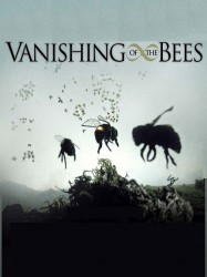 Vanishing of the Bees