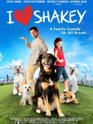 Shakey, un amour de chien