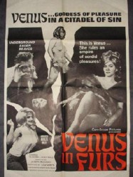 Venus in Furs