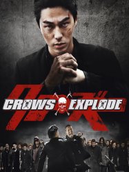 Crows Explode