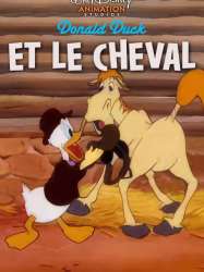 Donald et le cheval