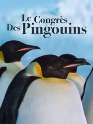 Le Congrès des pingouins