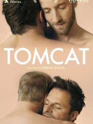 Tomcat