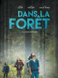 Dans la forêt