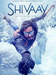 Shivaay