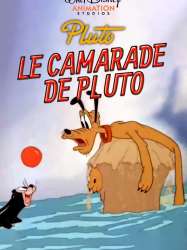 Le Camarade de Pluto