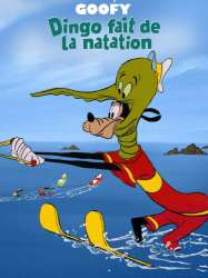 Dingo Fait de la Natation