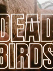 Dead Birds