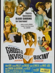 The Ghost in the Invisible Bikini