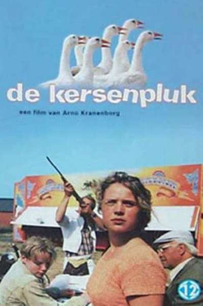 De kersenpluk