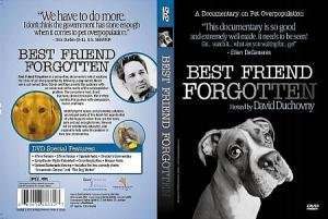 Best Friend Forgotten