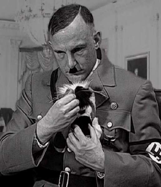 A Kitten For Hitler