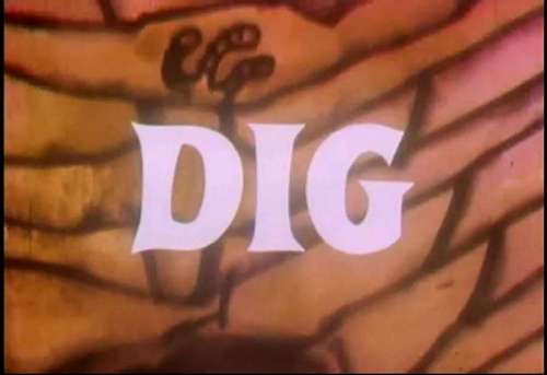 Dig