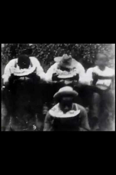 Watermelon Contest (1900)