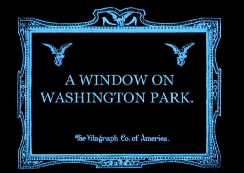 A Window on Washington Park