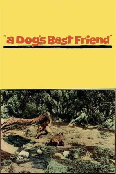 A Dog's Best Friend