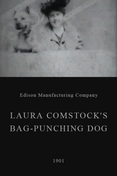 Laura Comstock's Bag-Punching Dog