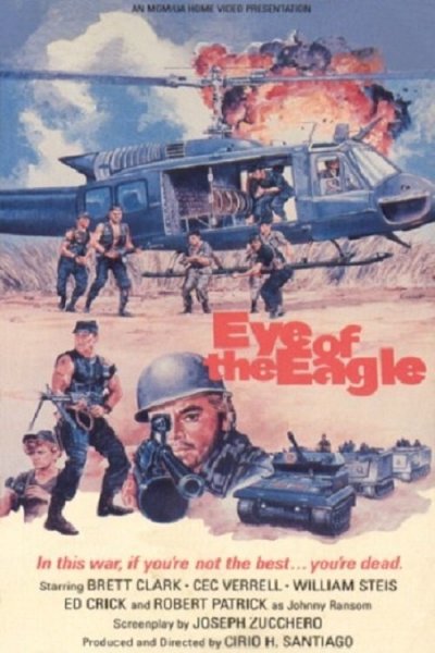 Eye of the Eagle