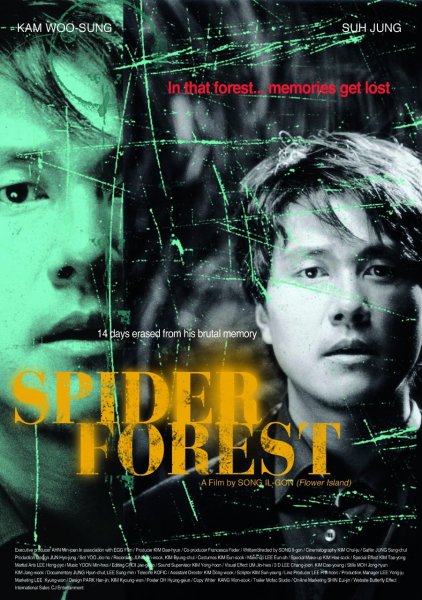 Spider Forest