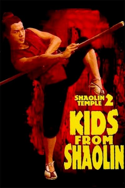 Les héritiers de Shaolin