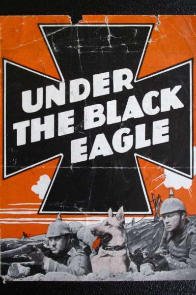 Under the Black Eagle