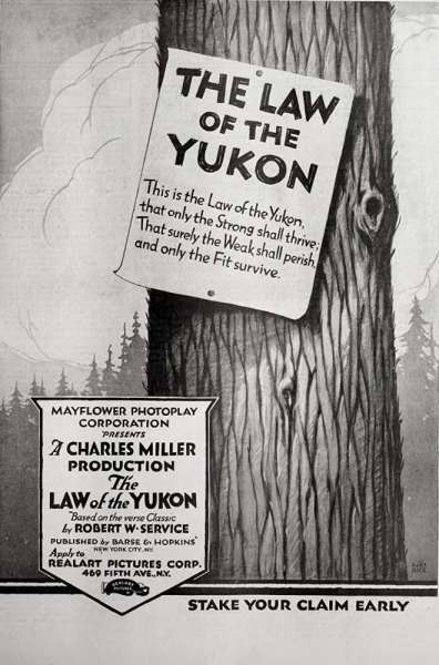 The Law of the Yukon