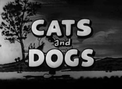 Cats and Dogs